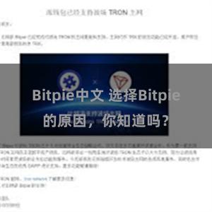 Bitpie中文 选择Bitpie的原因，你知道吗？