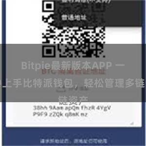 Bitpie最新版本APP 一分钟上手比特派钱包，轻松管理多链资产