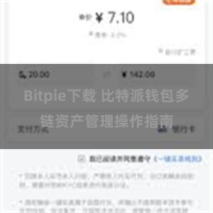 Bitpie下载 比特派钱包多链资产管理操作指南