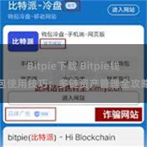 Bitpie下载 Bitpie钱包使用技巧：多链资产管理全攻略