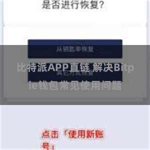 比特派APP直链 解决Bitpie钱包常见使用问题