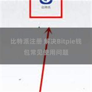 比特派注册 解决Bitpie钱包常见使用问题