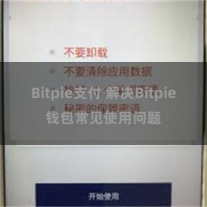 Bitpie支付 解决Bitpie钱包常见使用问题