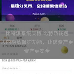 比特派系统支持 比特派钱包：强大的隐私保护功能，让您资产更安全