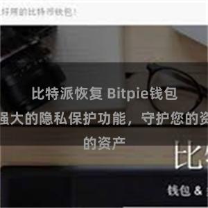 比特派恢复 Bitpie钱包：强大的隐私保护功能，守护您的资产