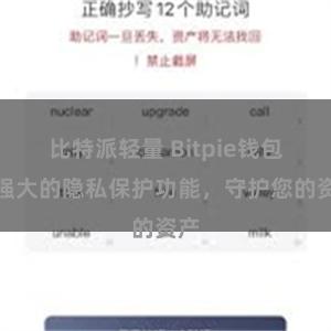 比特派轻量 Bitpie钱包：强大的隐私保护功能，守护您的资产