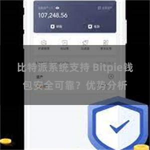 比特派系统支持 Bitpie钱包安全可靠？优势分析