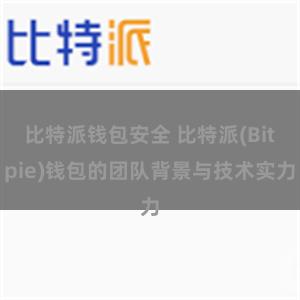 比特派钱包安全 比特派(Bitpie)钱包的团队背景与技术实力