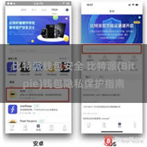 比特派钱包安全 比特派(Bitpie)钱包隐私保护指南