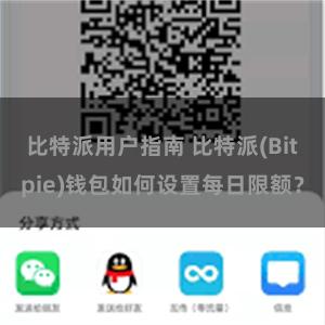 比特派用户指南 比特派(Bitpie)钱包如何设置每日限额？