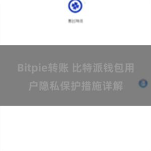 Bitpie转账 比特派钱包用户隐私保护措施详解