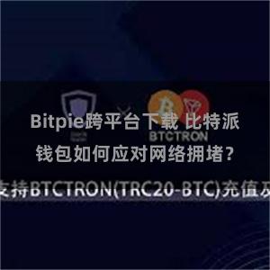 Bitpie跨平台下载 比特派钱包如何应对网络拥堵？