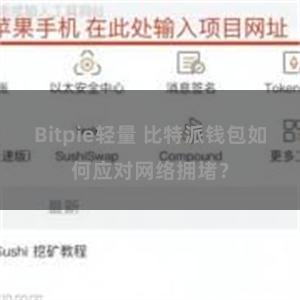 Bitpie轻量 比特派钱包如何应对网络拥堵？