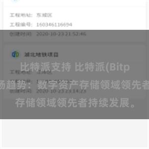 比特派支持 比特派(Bitpie)钱包市场趋势：数字资产存储领域领先者持续发展。