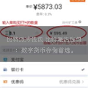 比特派冷钱包 比特派热钱包：数字货币存储首选。