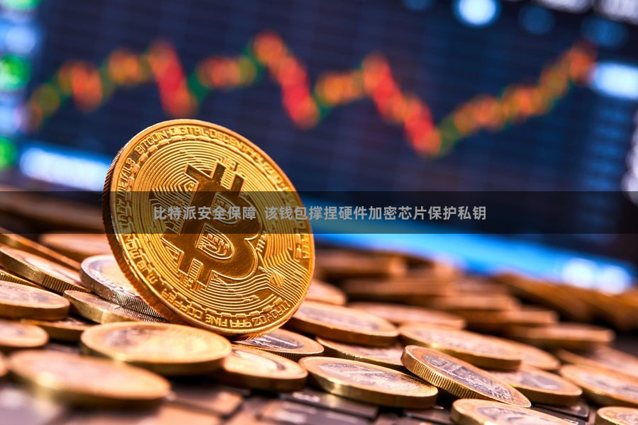 比特派安全保障 该钱包撑捏硬件加密芯片保护私钥