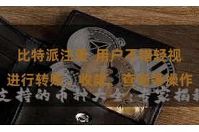 比特派注册 用户不错轻视进行转账、收款、查询等操作