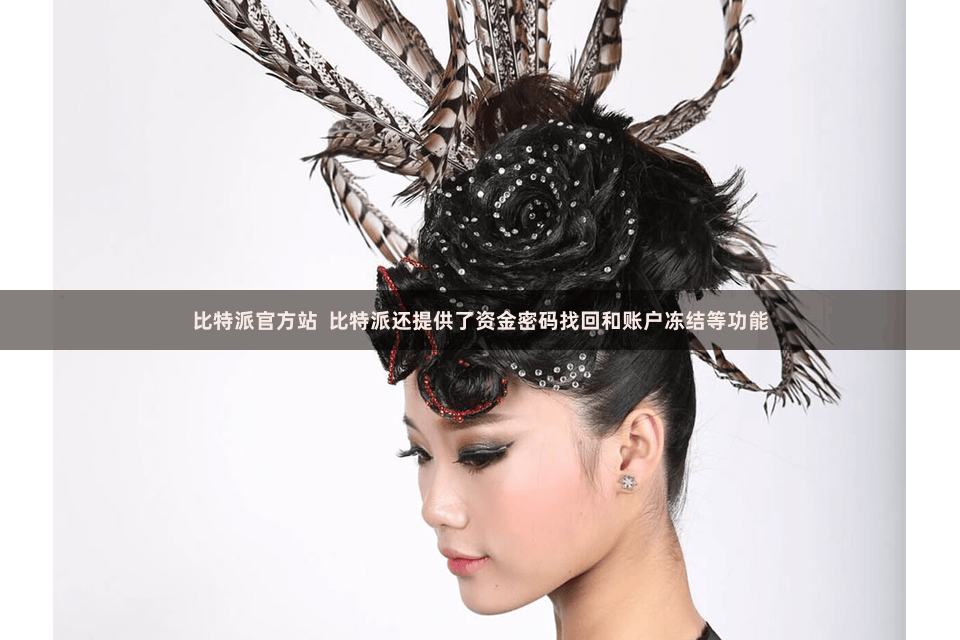 比特派官方站  比特派还提供了资金密码找回和账户冻结等功能