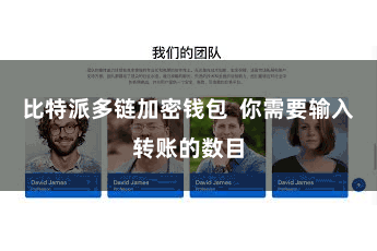 比特派多链加密钱包  你需要输入转账的数目