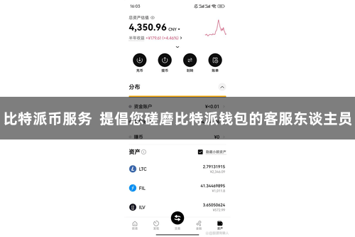 比特派币服务  提倡您磋磨比特派钱包的客服东谈主员