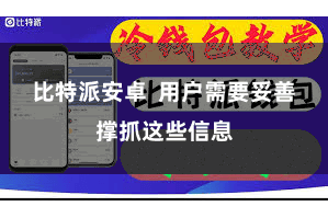 比特派安卓  用户需要妥善撑抓这些信息